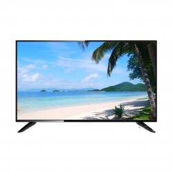 43"Full-HD LCD Monitor